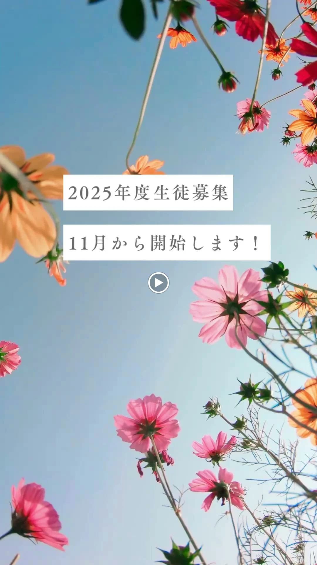 サムネイル画像 4