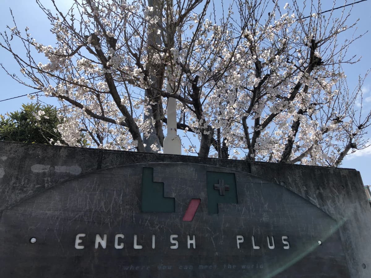 サムネイル画像 4