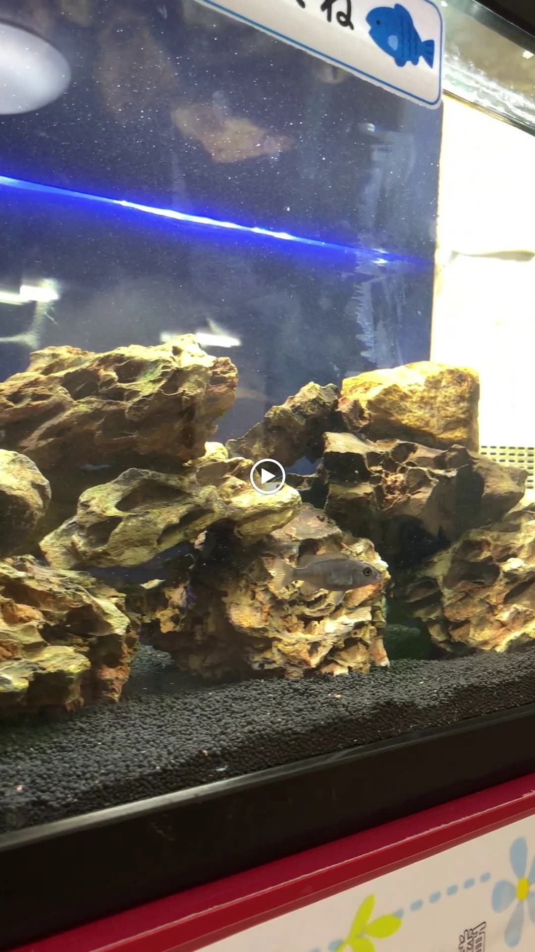 サムネイル画像 6