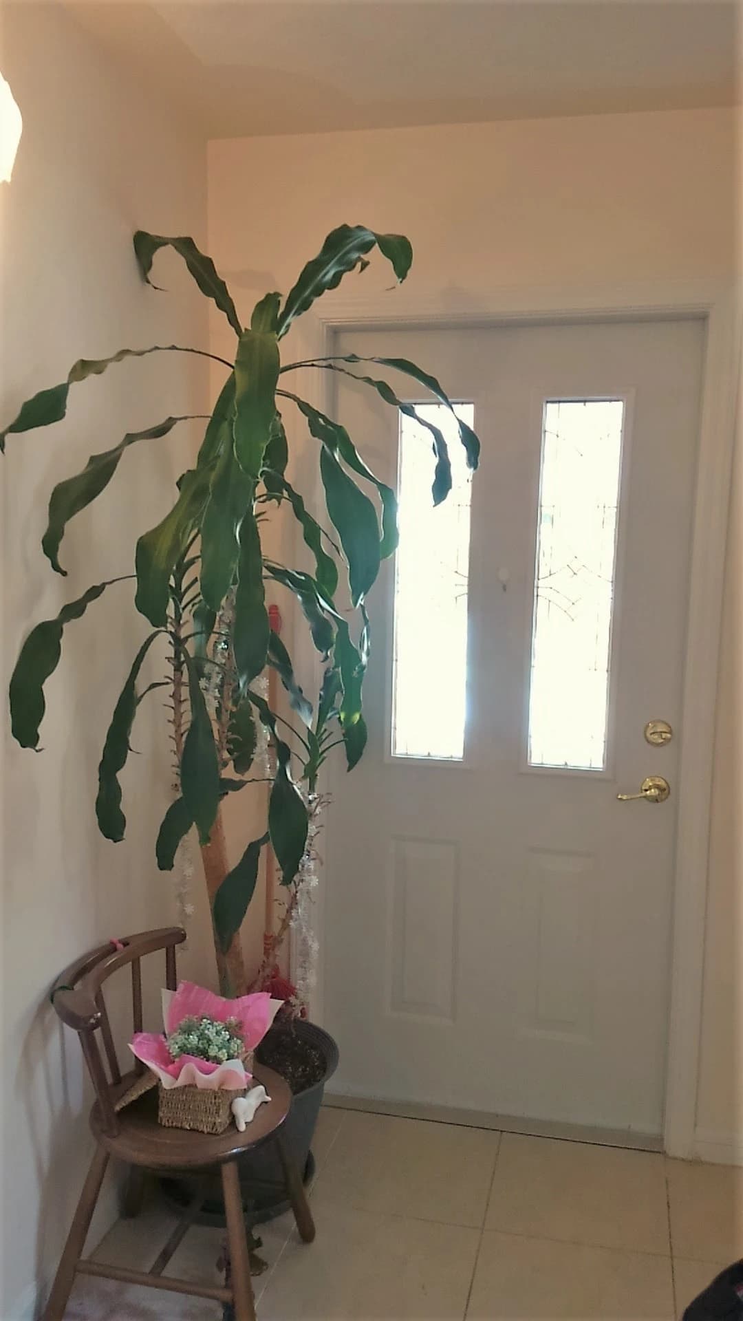 サムネイル画像 3