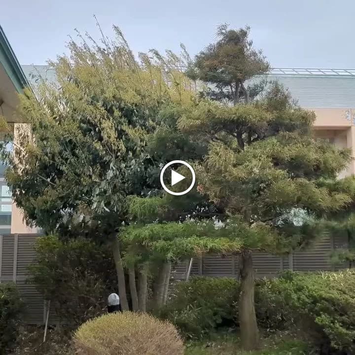 ユーフォリア千里浜 千里浜町教室 画像 146