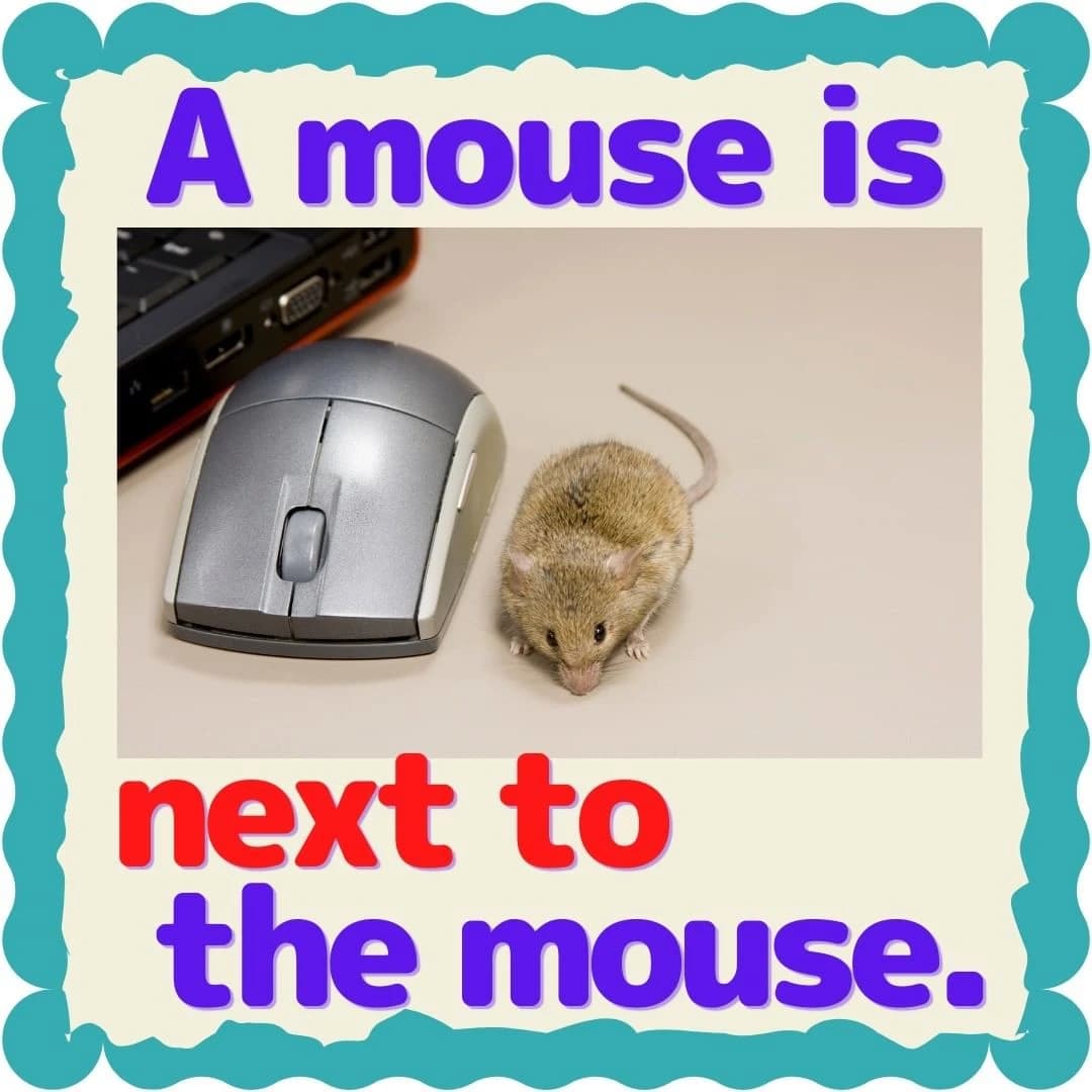 サムネイル画像 4