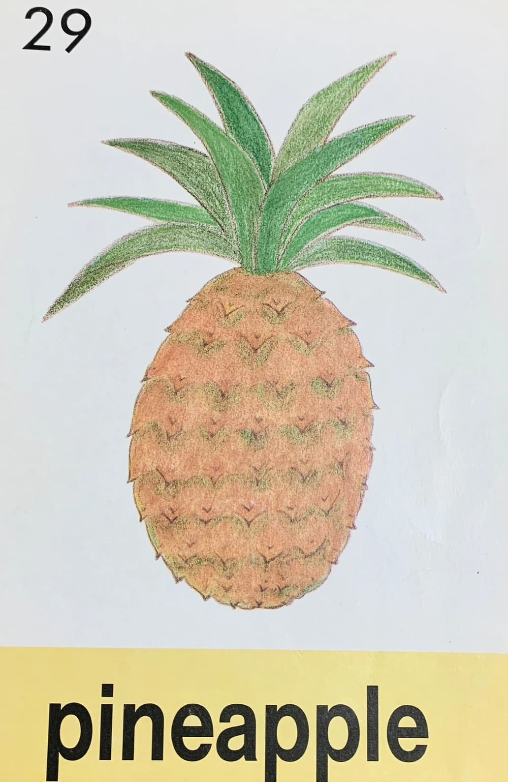 ACT ENGLISH SCHOOL(アクトイングリッシュスクール) 滝ノ水教室 画像 7