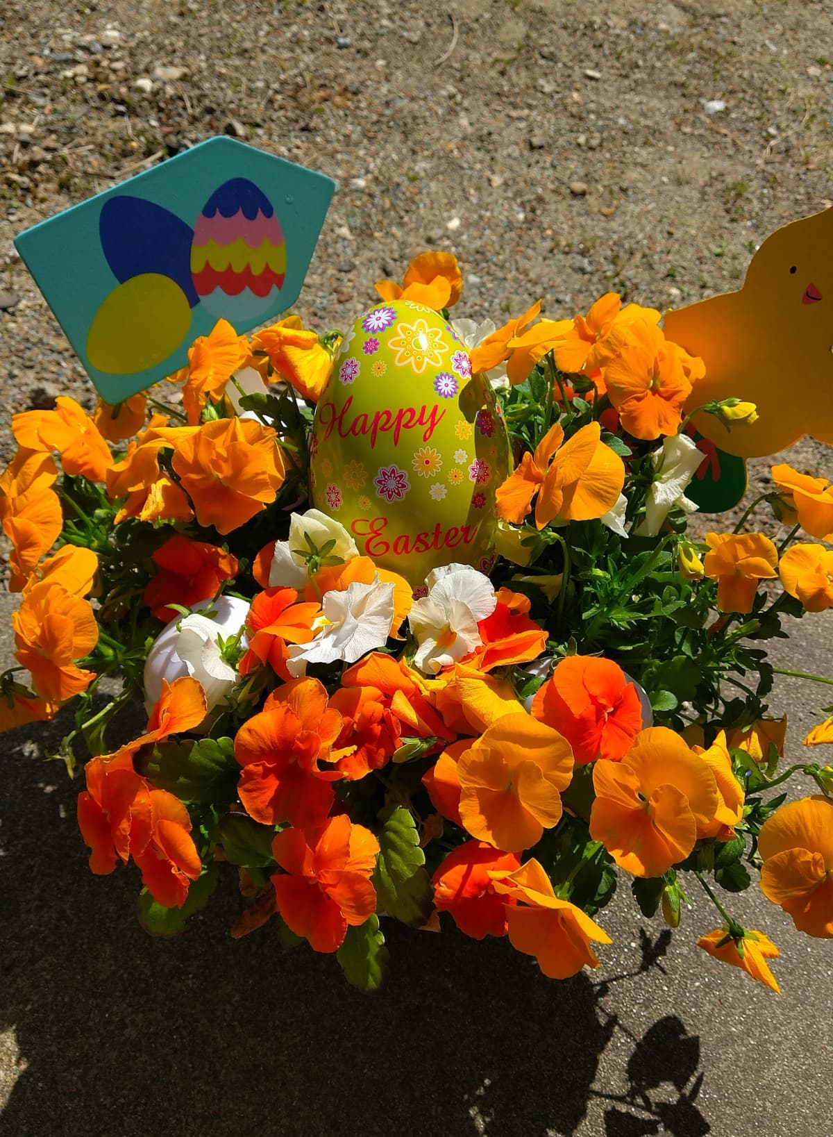 サムネイル画像 3