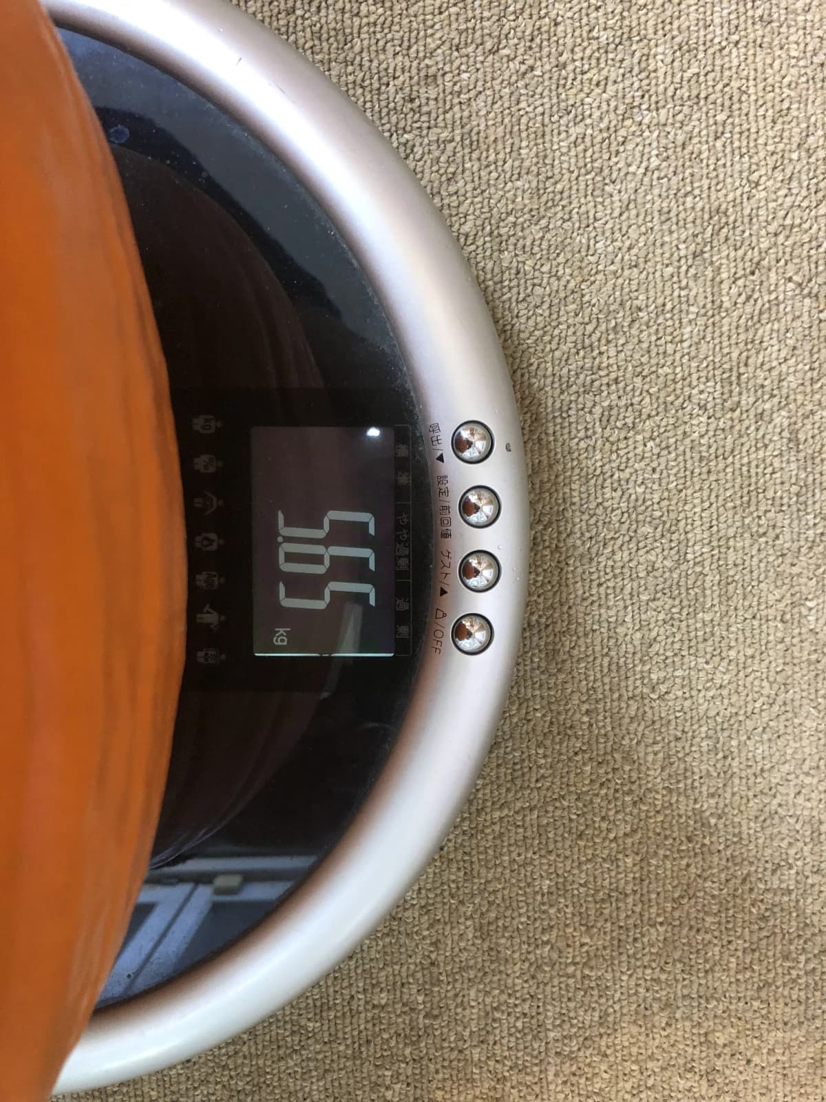 ポテトクラブ 英語・英会話 いりなか教室 画像 20