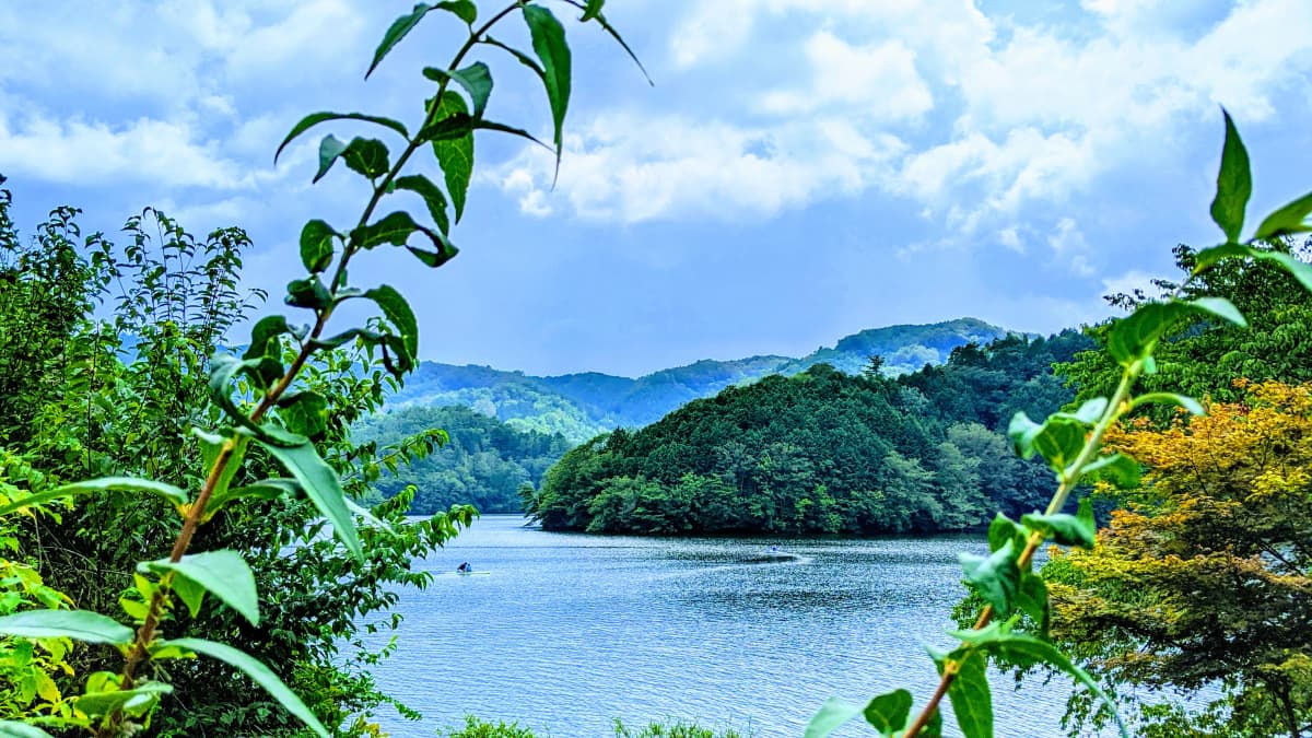 サムネイル画像 3