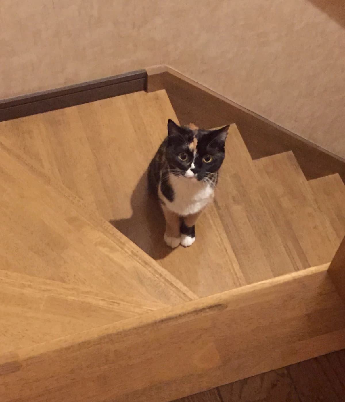 サムネイル画像 3