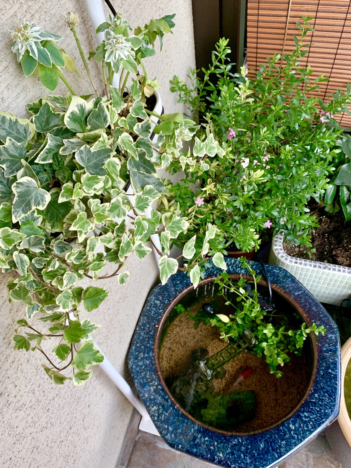 サムネイル画像 4