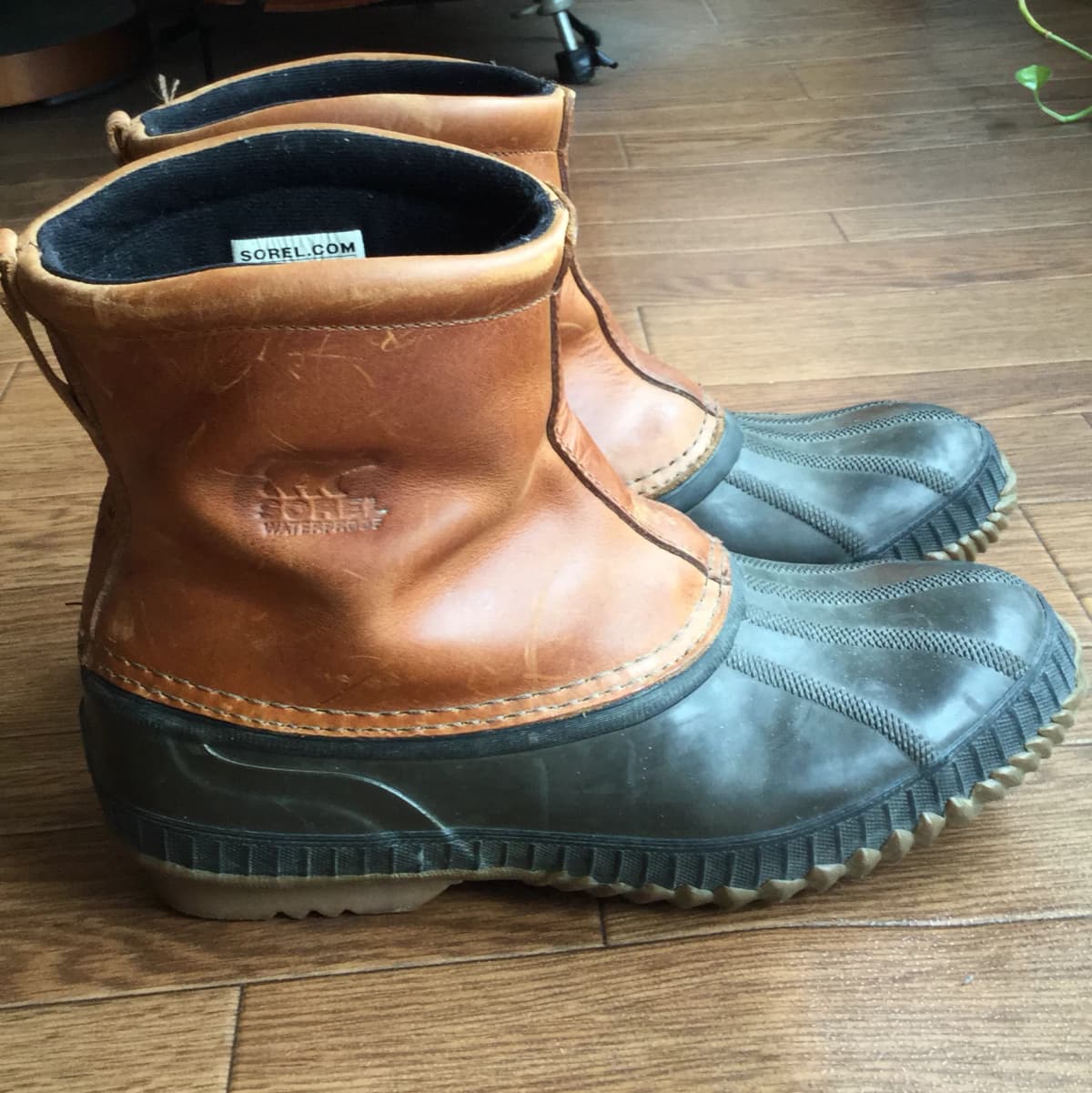 サムネイル画像 5