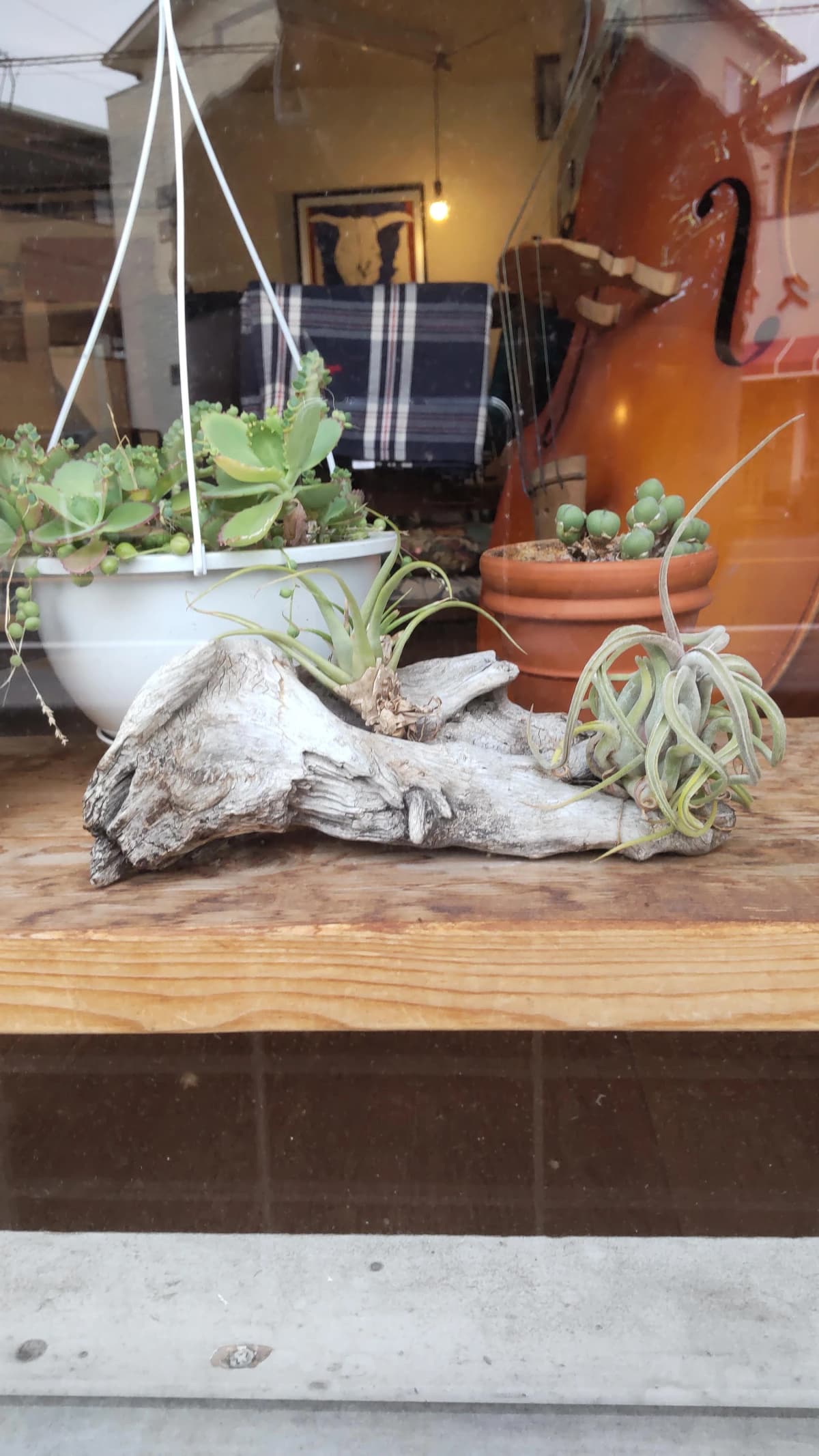 サムネイル画像 6