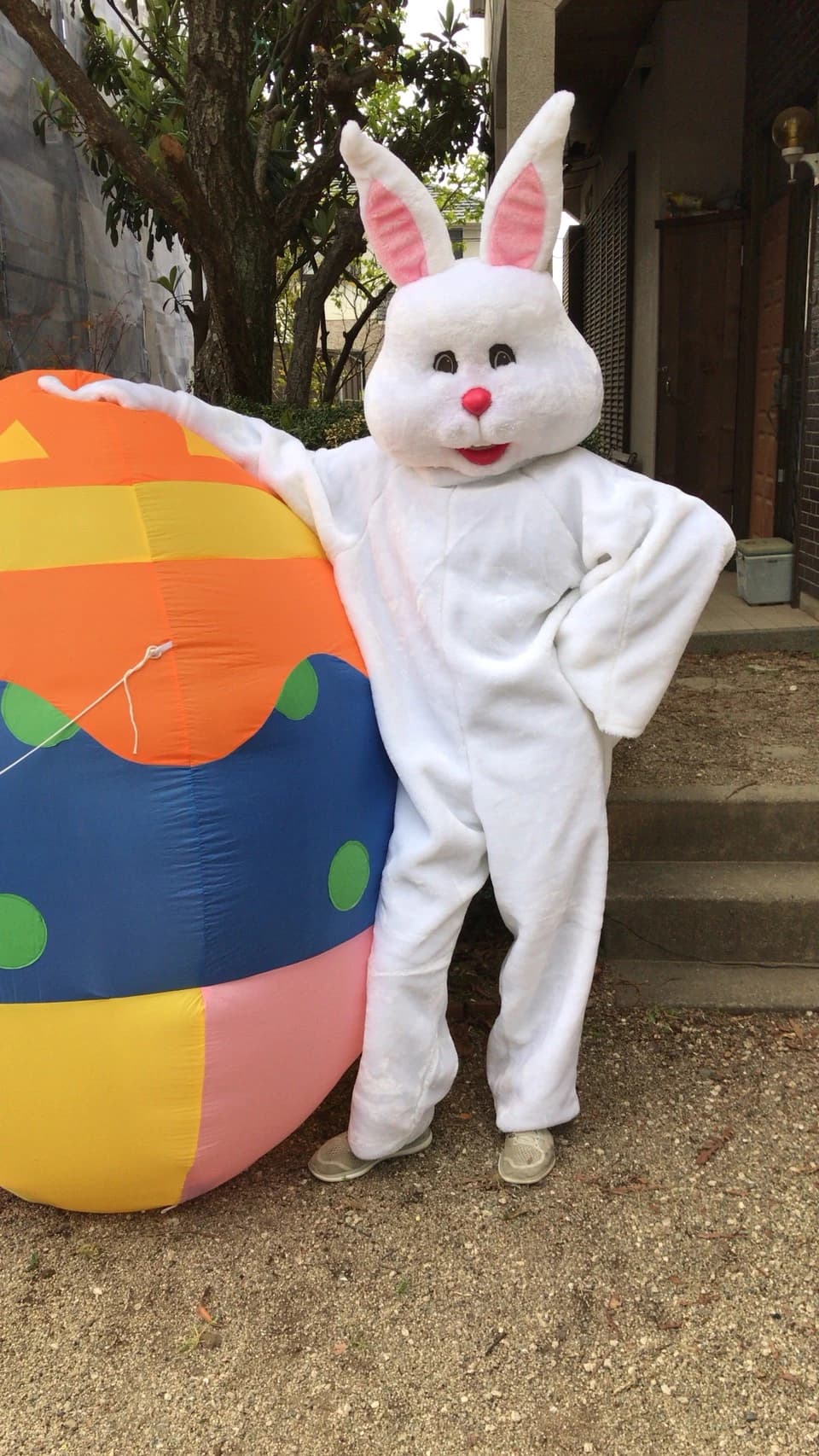 サムネイル画像 3