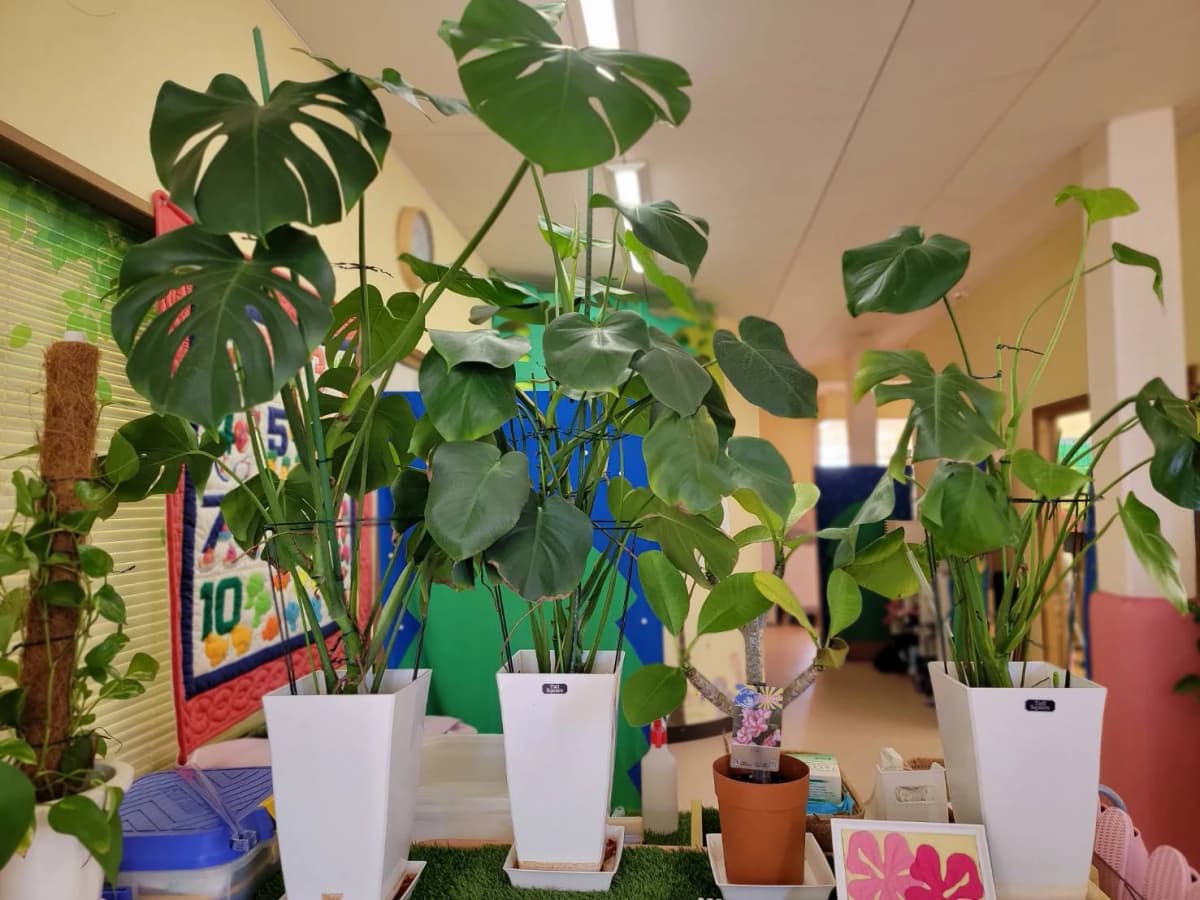 Brains Kiddy Club(ブレインズ・キディクラブ) 英語・英会話 阿倉川駅前校 画像 38