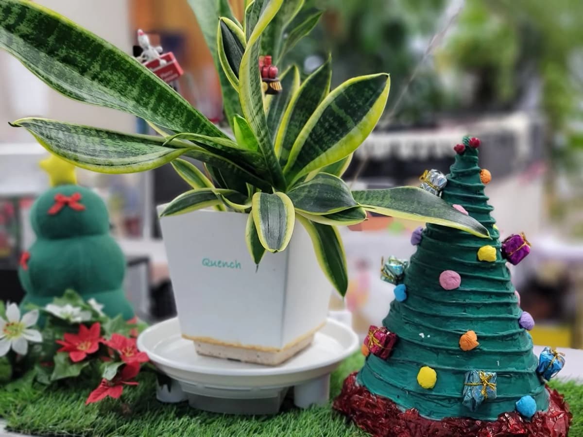 Brains Kiddy Club(ブレインズ・キディクラブ) 英語・英会話 阿倉川駅前校 画像 39