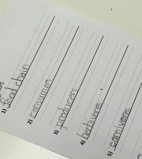 PROPER ENGLISH ACADEMY(プロパーイングリシュアカデミー) 北堀江教室のサムネイル画像 4