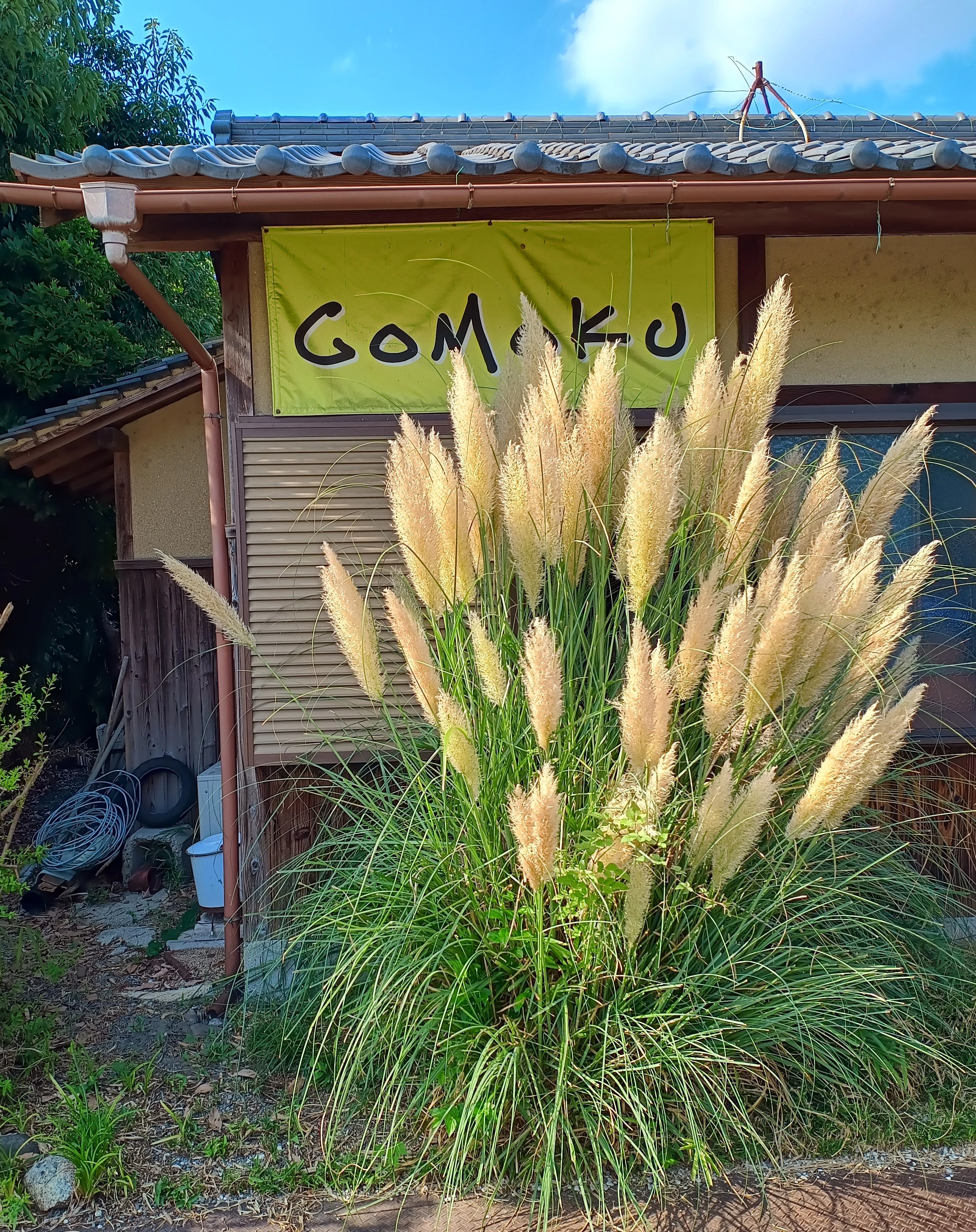 GOMOKU﻿l(ゴモク) International schoo 英語・英会話 泉田中教室のメイン画像