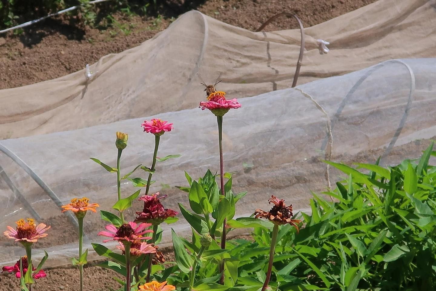 KingdomKids(キングダムキッズ)インターナショナル・プリスクール) 英語・英会話 伏屋町教室 画像 5