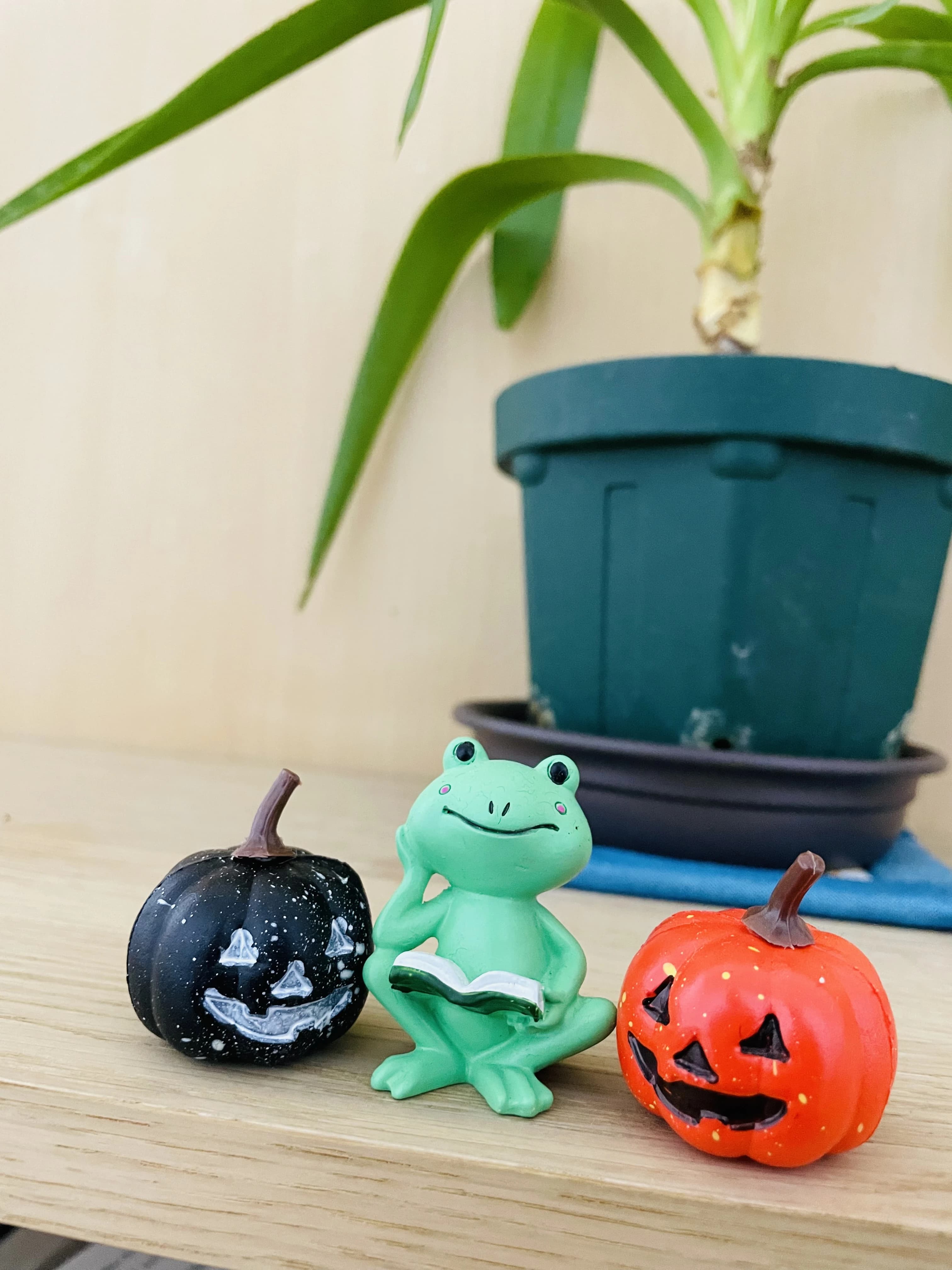 Eatbee 英語・英会話 亥の子谷教室のサムネイル画像 5