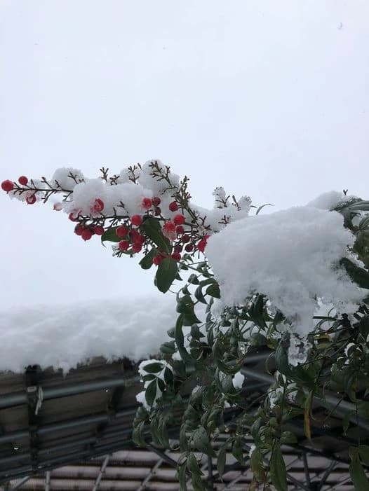 Blue Dolphins(ブルードルフィンズ) 英語・英会話 高槻校のメイン画像