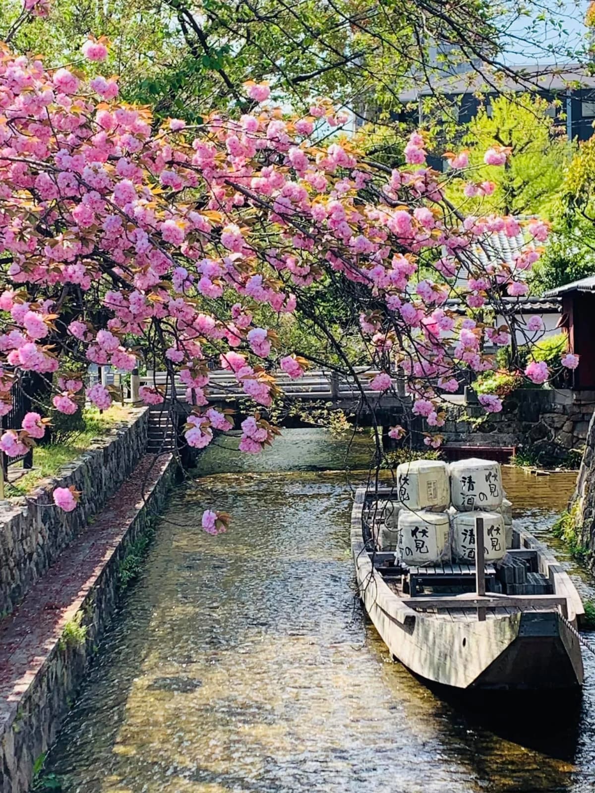 サムネイル画像 3