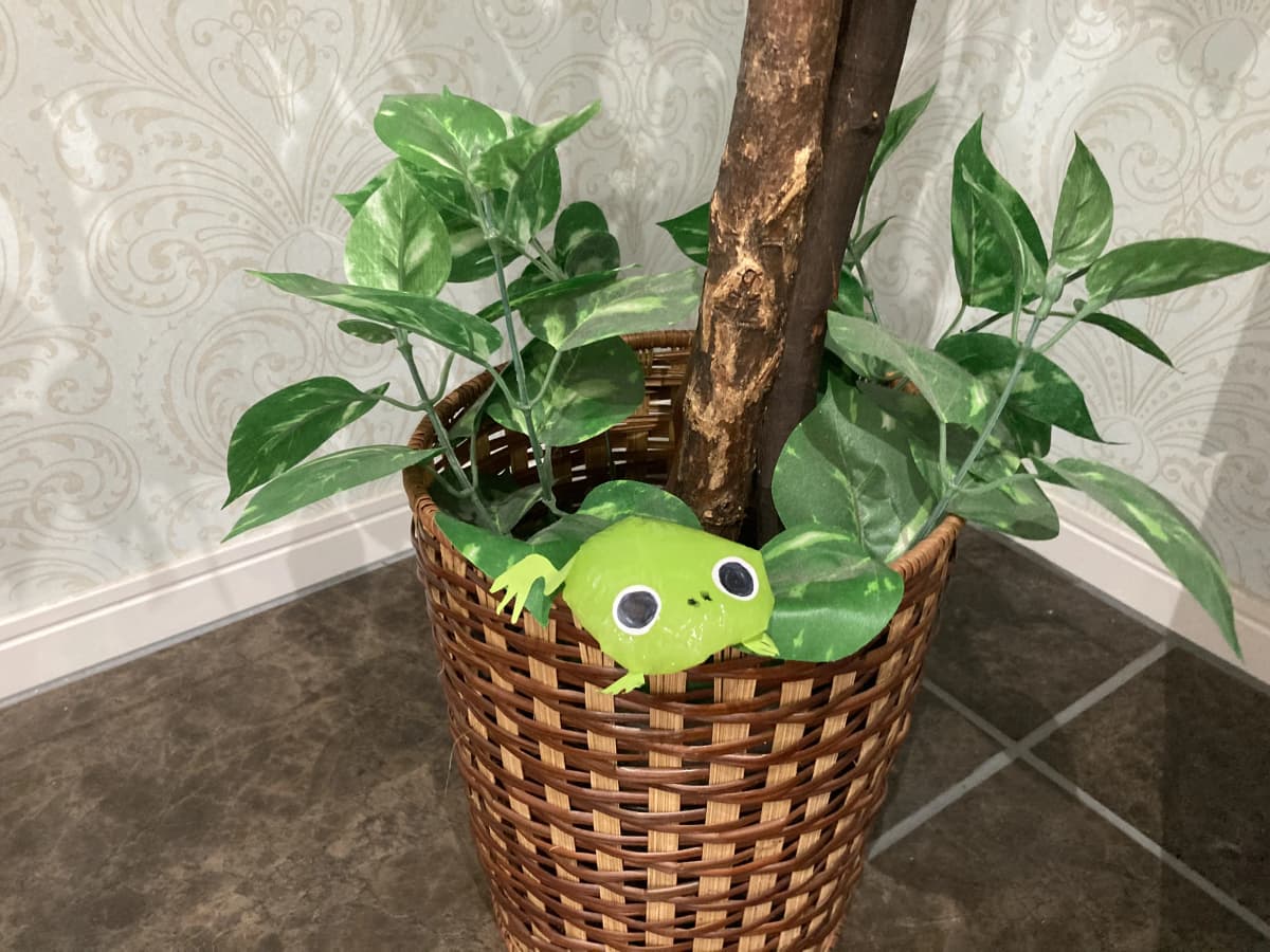 ABC ENGLISH 彦根校 画像 24