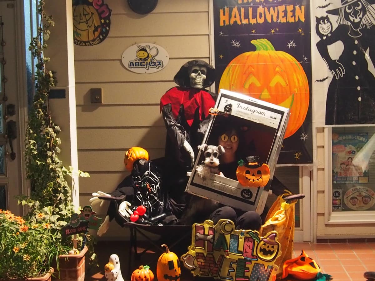 サムネイル画像 6