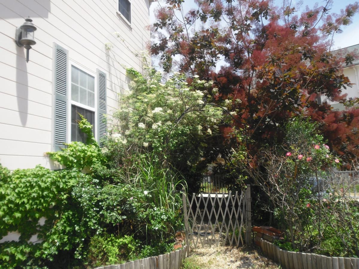 サムネイル画像 4