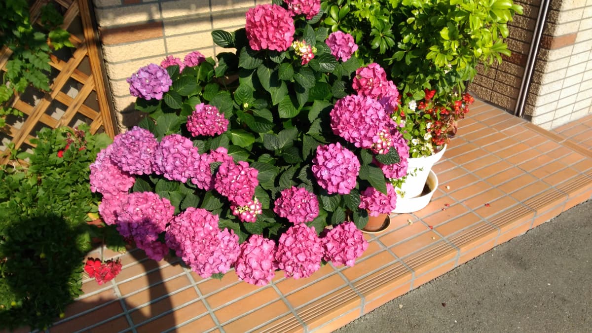 サムネイル画像 4