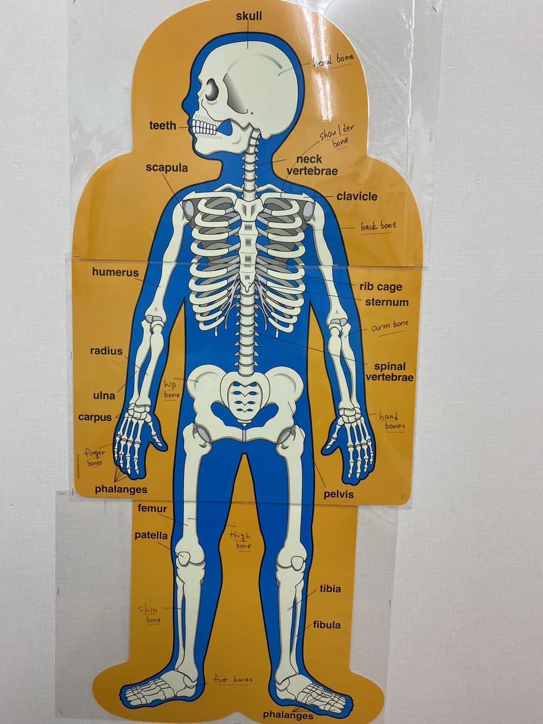 Robins Nest(ロビンズ・ネスト) 英語・英会話 西新校 画像 53