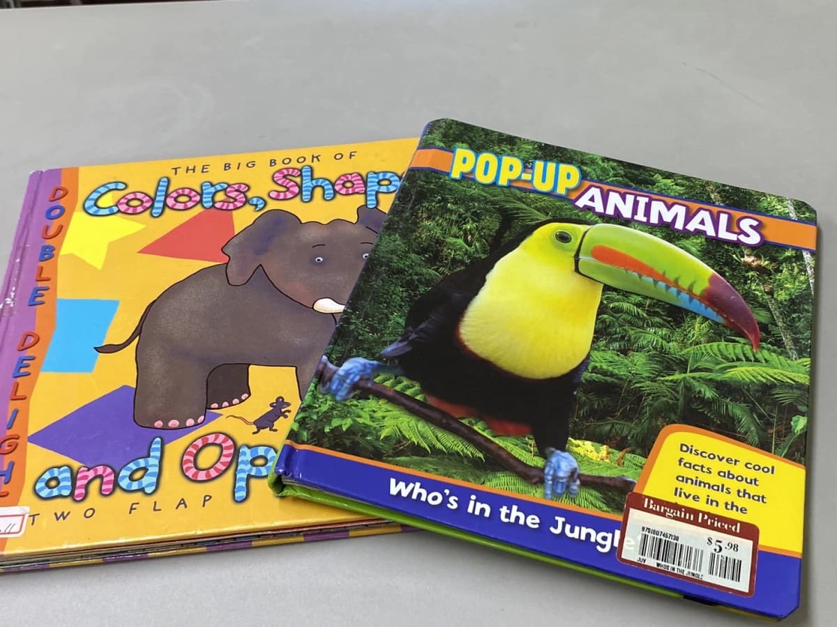 Robins Nest(ロビンズ・ネスト) 英語・英会話 香椎校のサムネイル画像 5