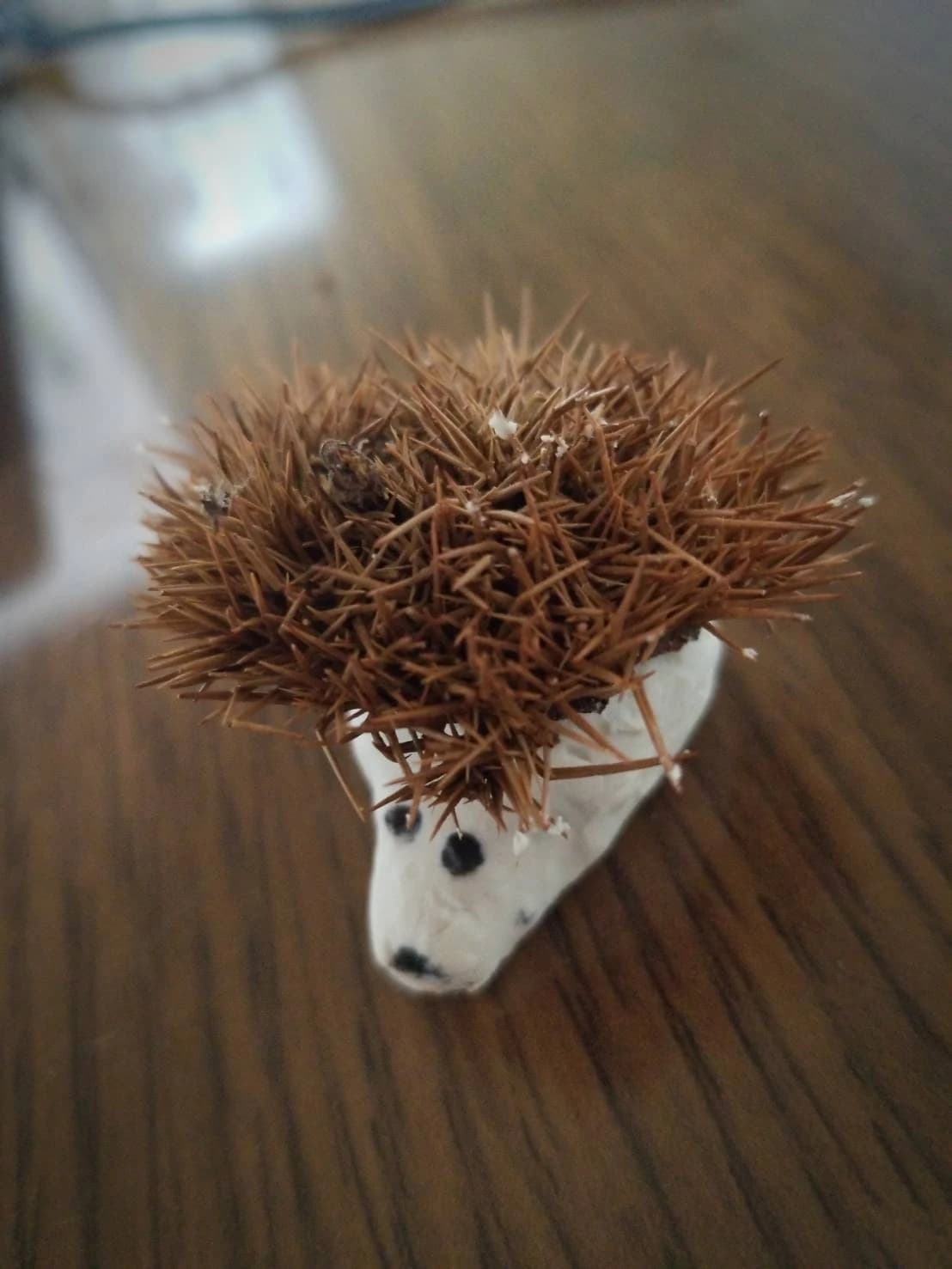 カマチ式こども英会話クラブ 馬出教室のメイン画像