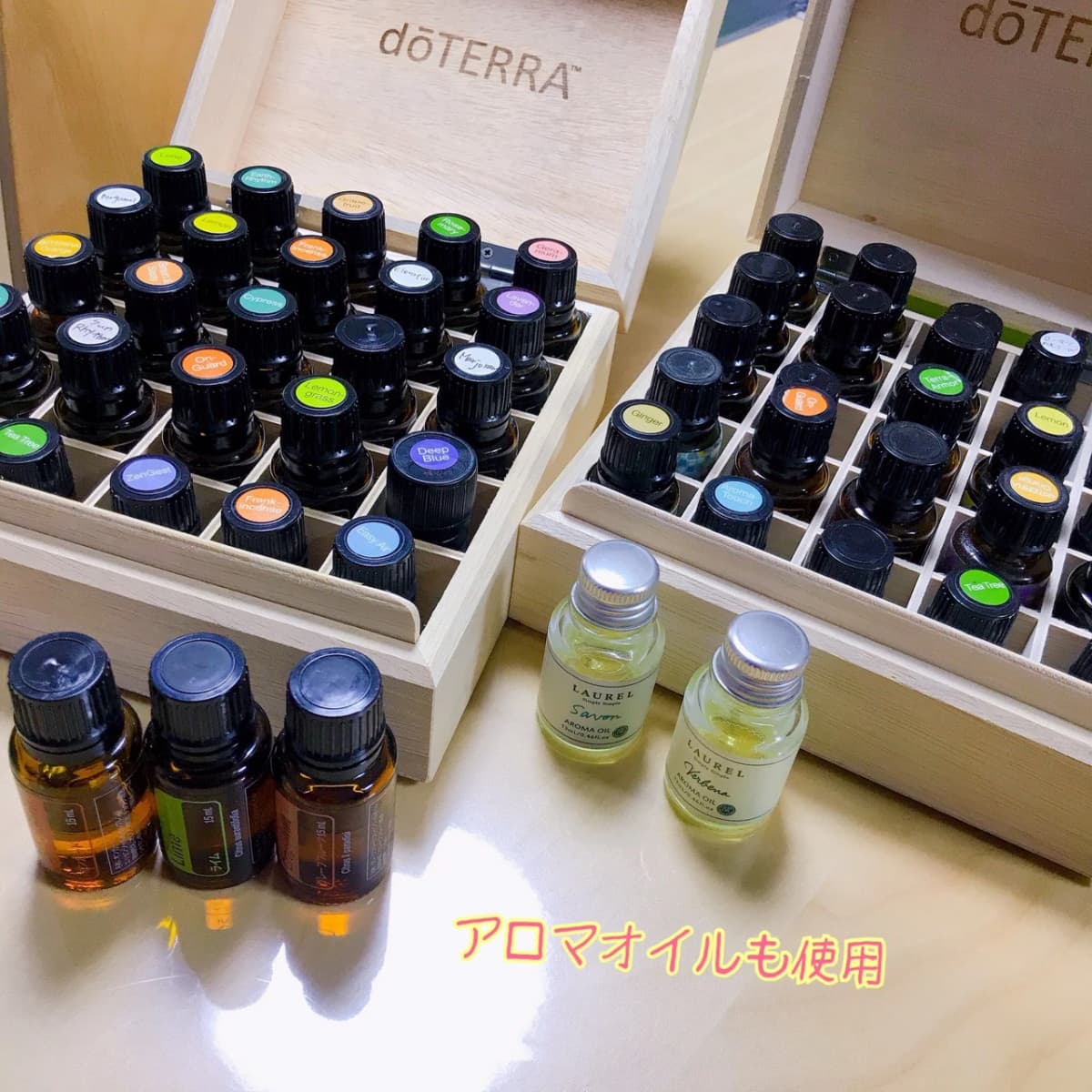 アルクKiddy CAT 英語・英会話 ファーストスクール 学研台校のサムネイル画像 2