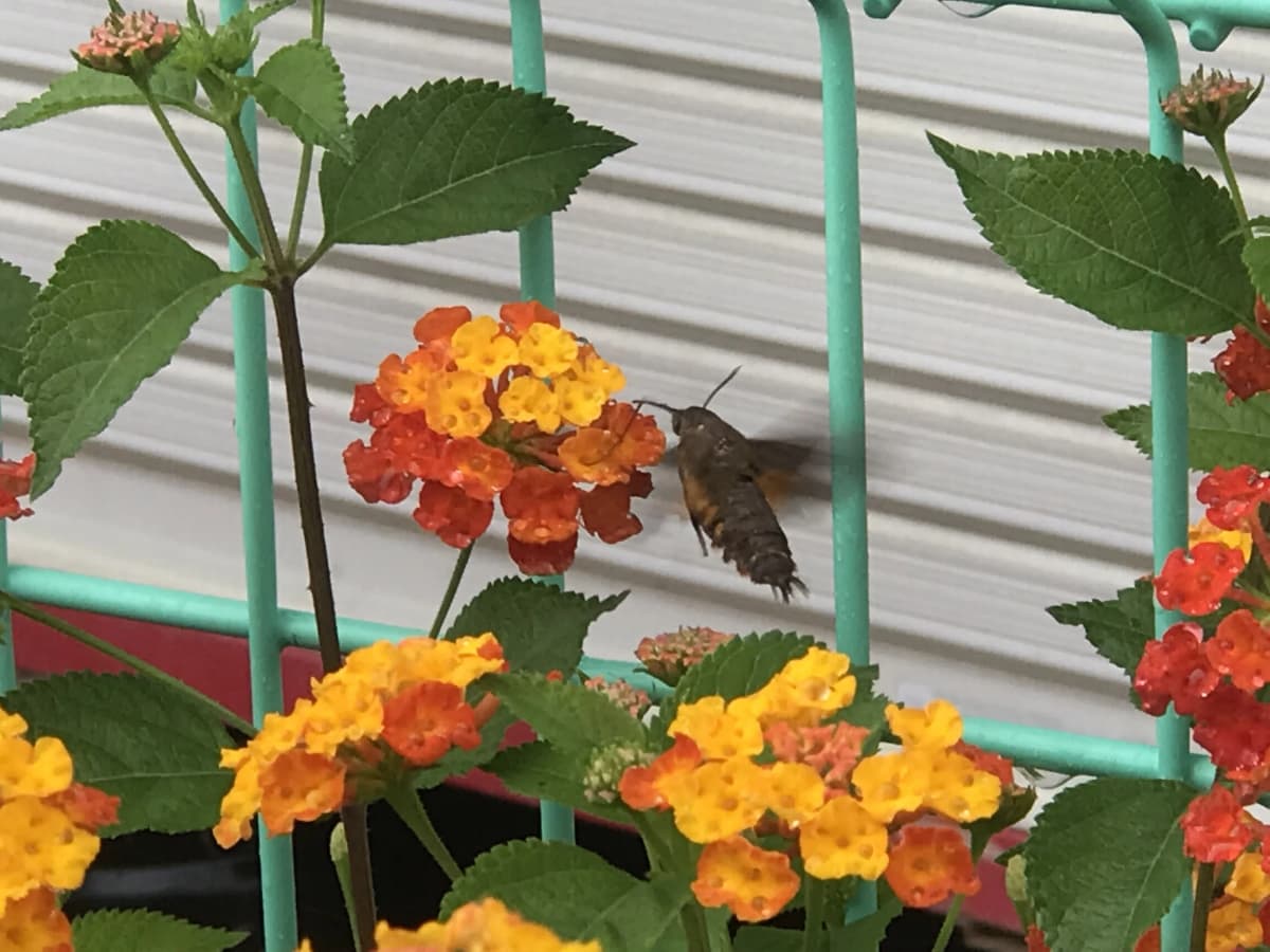 STEP WORLD(ステップワールド) 英語・英会話 宮古島教室 画像 17