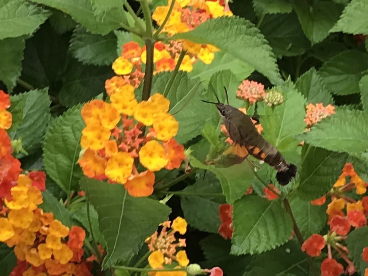 サムネイル画像 3