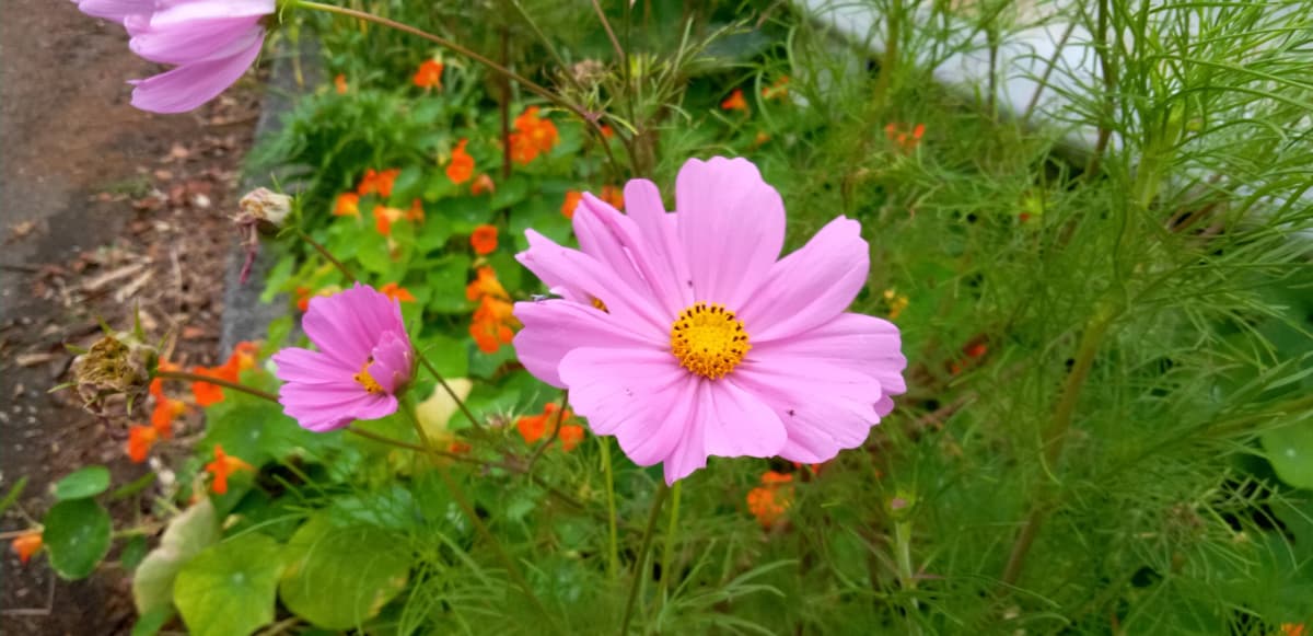 サムネイル画像 4