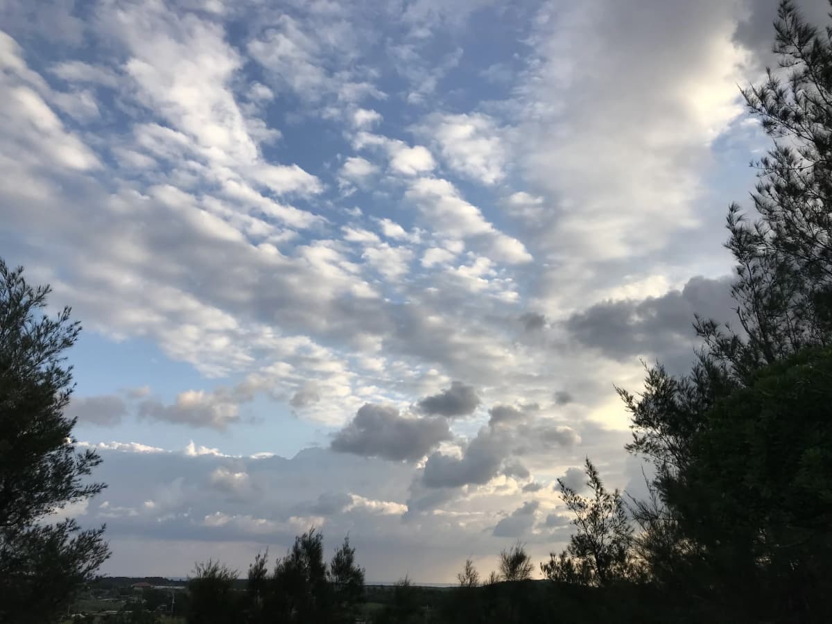 サムネイル画像 5