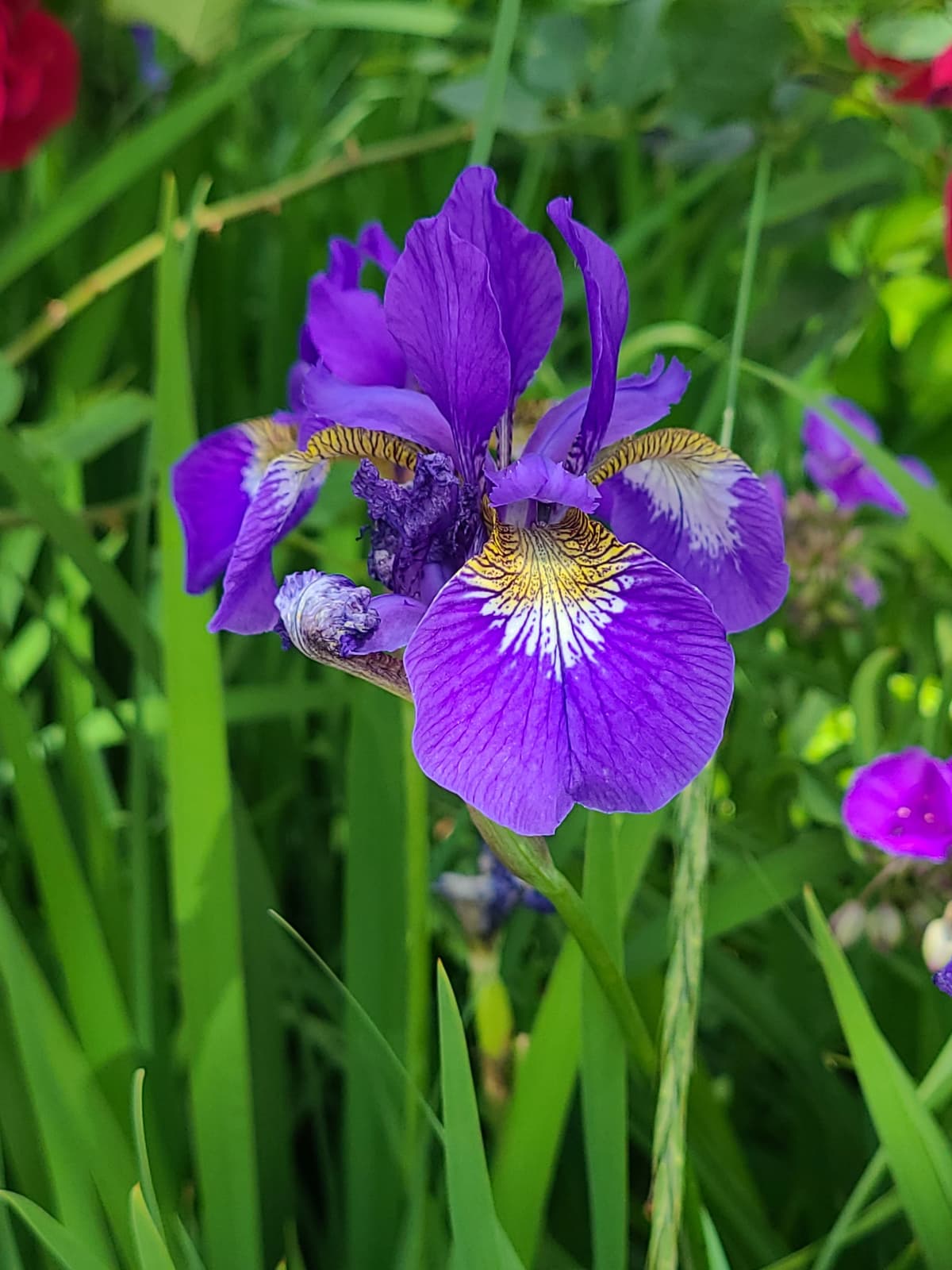 サムネイル画像 4