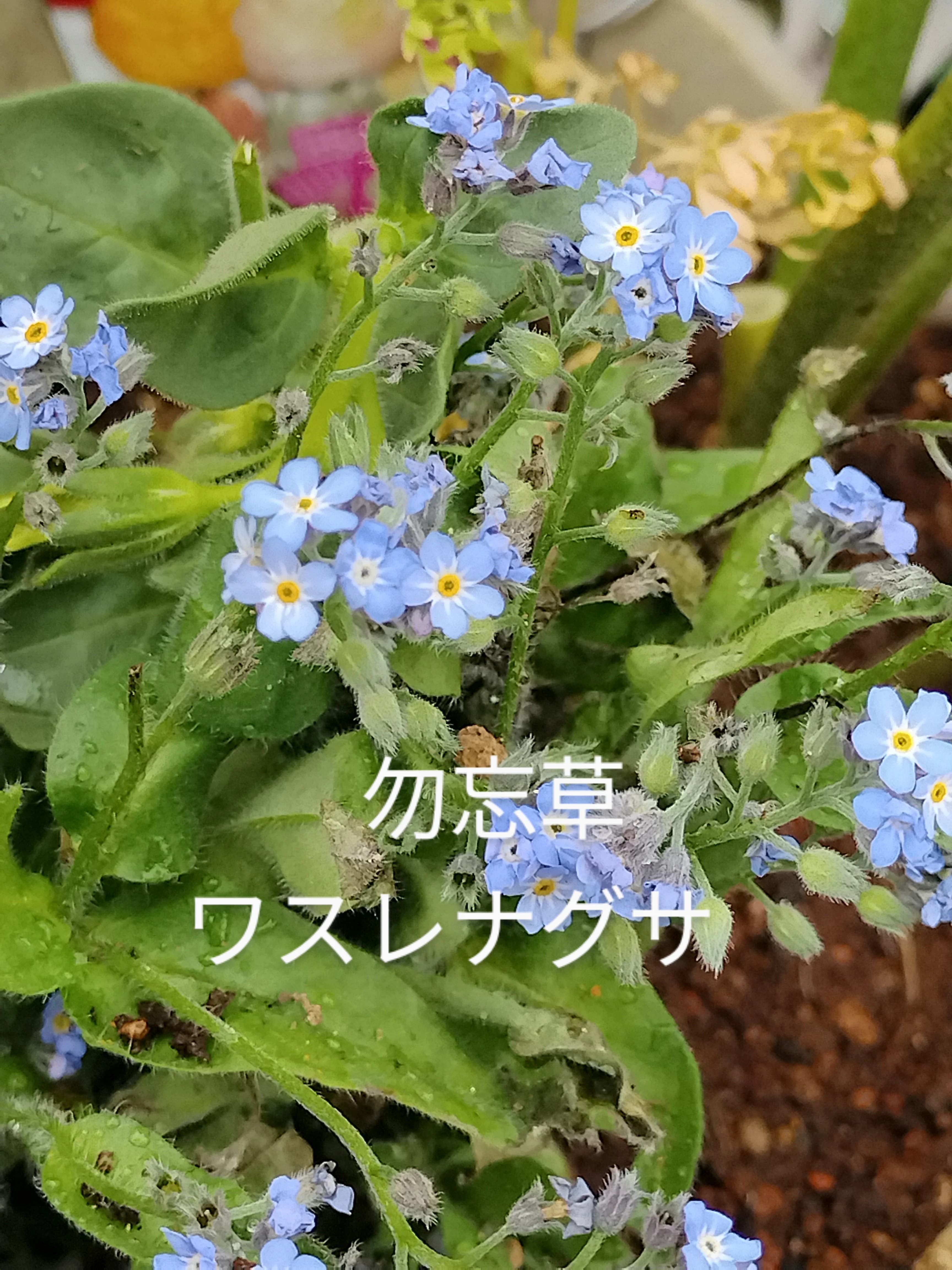 黒川速算塾 石原教場のサムネイル画像 2