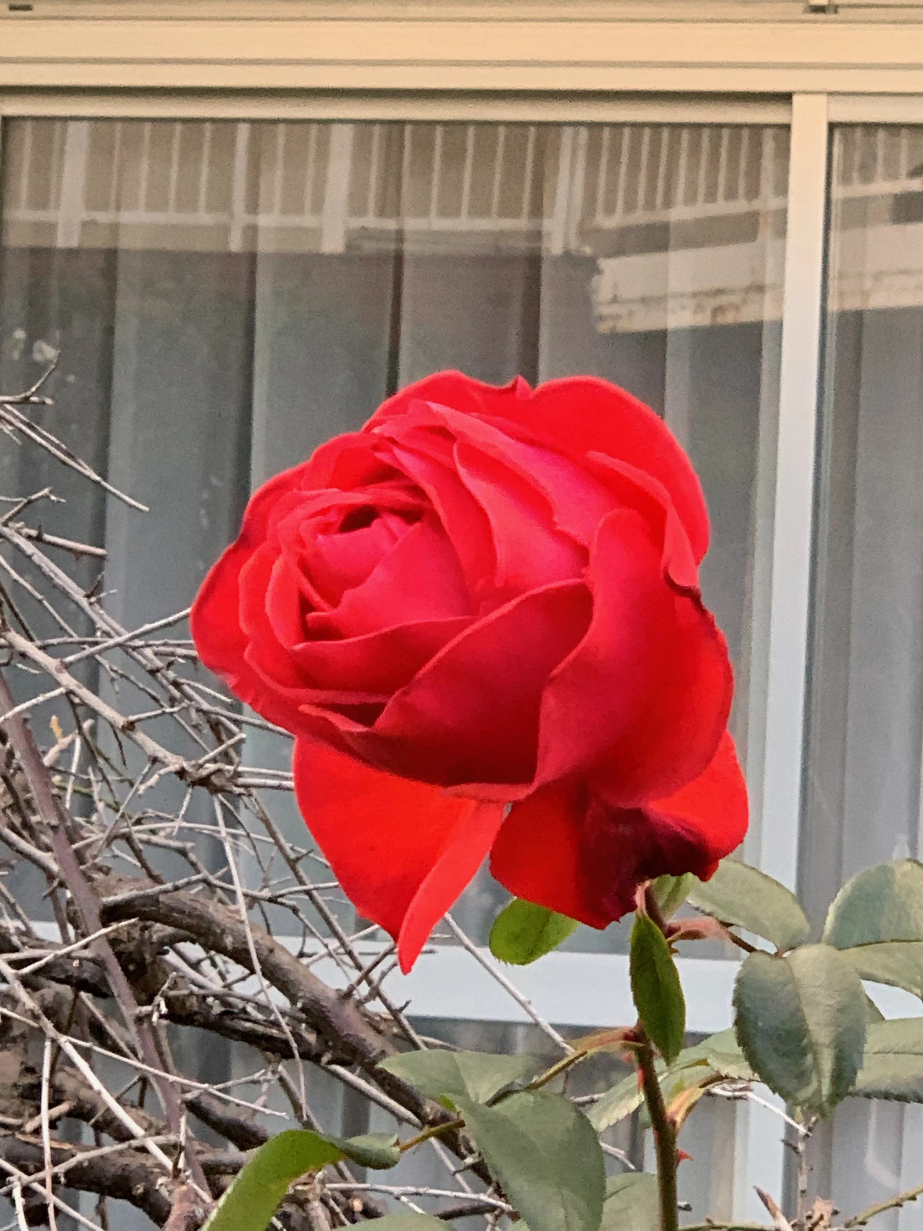 上丸子そろばん教室 上丸子八幡町教室のメイン画像