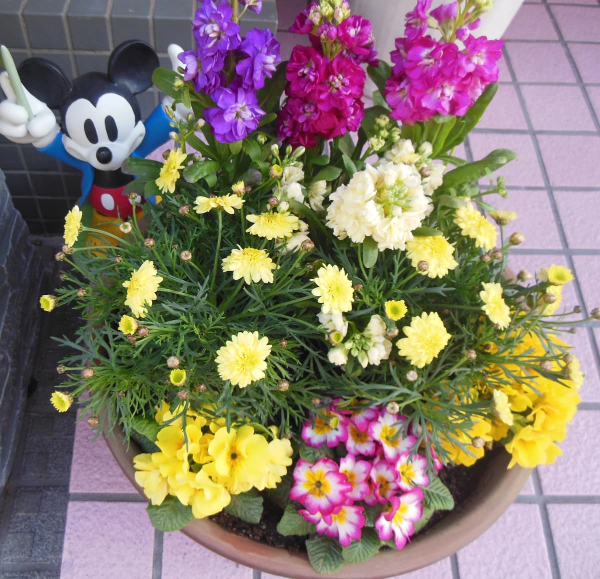 サムネイル画像 6