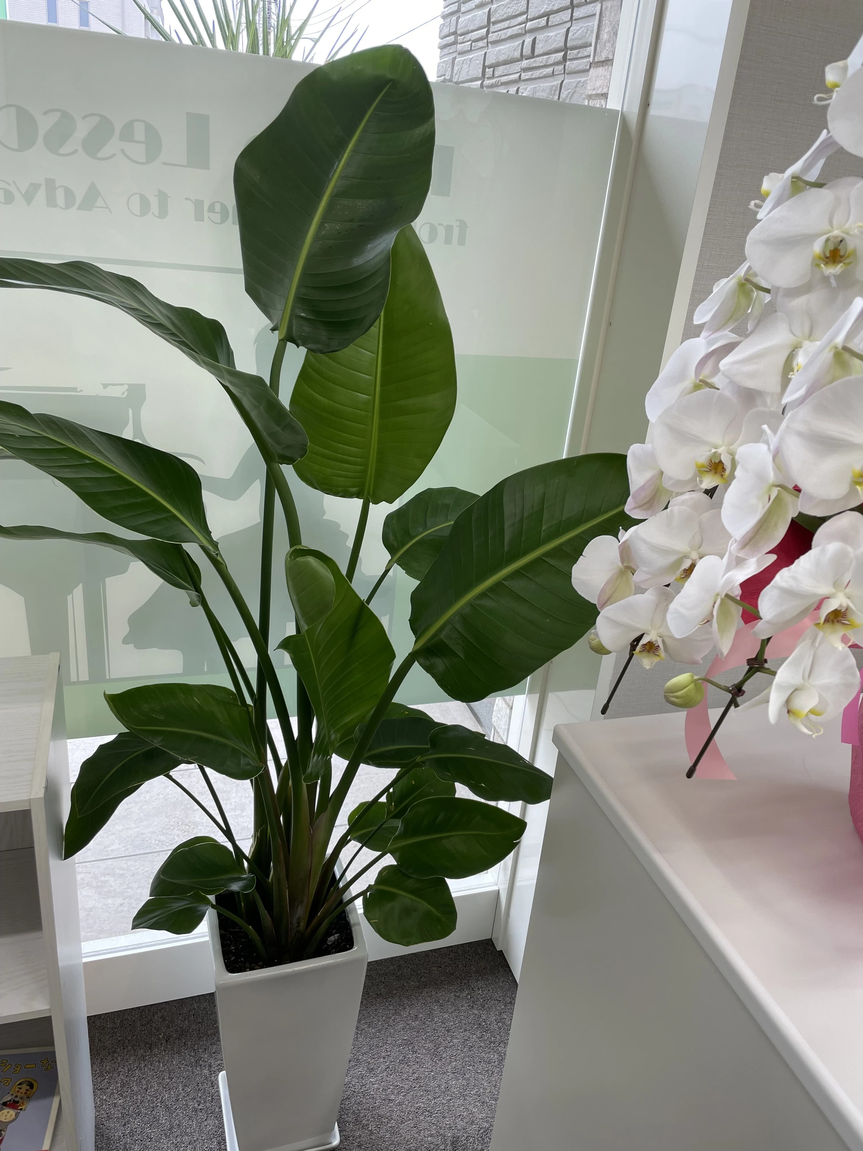 ダリ・ピアノ教室（北戸田駅前教室）のサムネイル画像 4