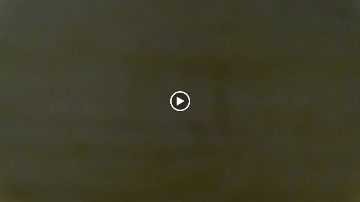 そろばん塾ピコ 学習塾ポラリス　ピコ柏常盤台校 画像 34