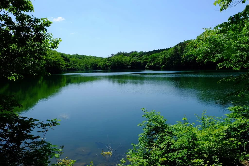 そろばん塾ピコ 学習塾ポラリス　ピコ柏常盤台校 画像 37