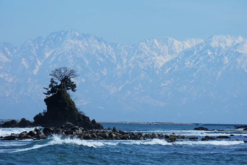 そろばん塾ピコ 学習塾ポラリス　ピコ柏常盤台校 画像 41