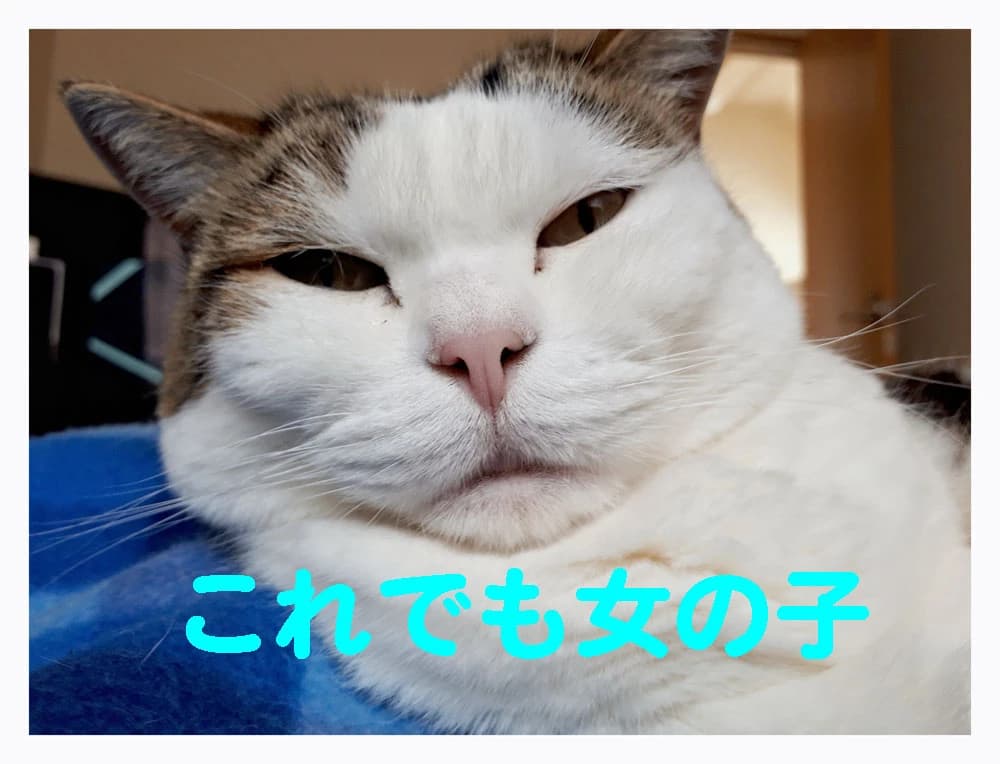 ＫＹＯＷＡＳＣＨＯＯＬ そろばん 福栄教室のサムネイル画像 5