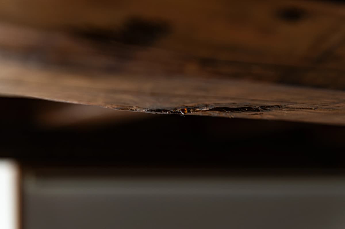 ツインギャラリー蔵　こども教室 画像 17