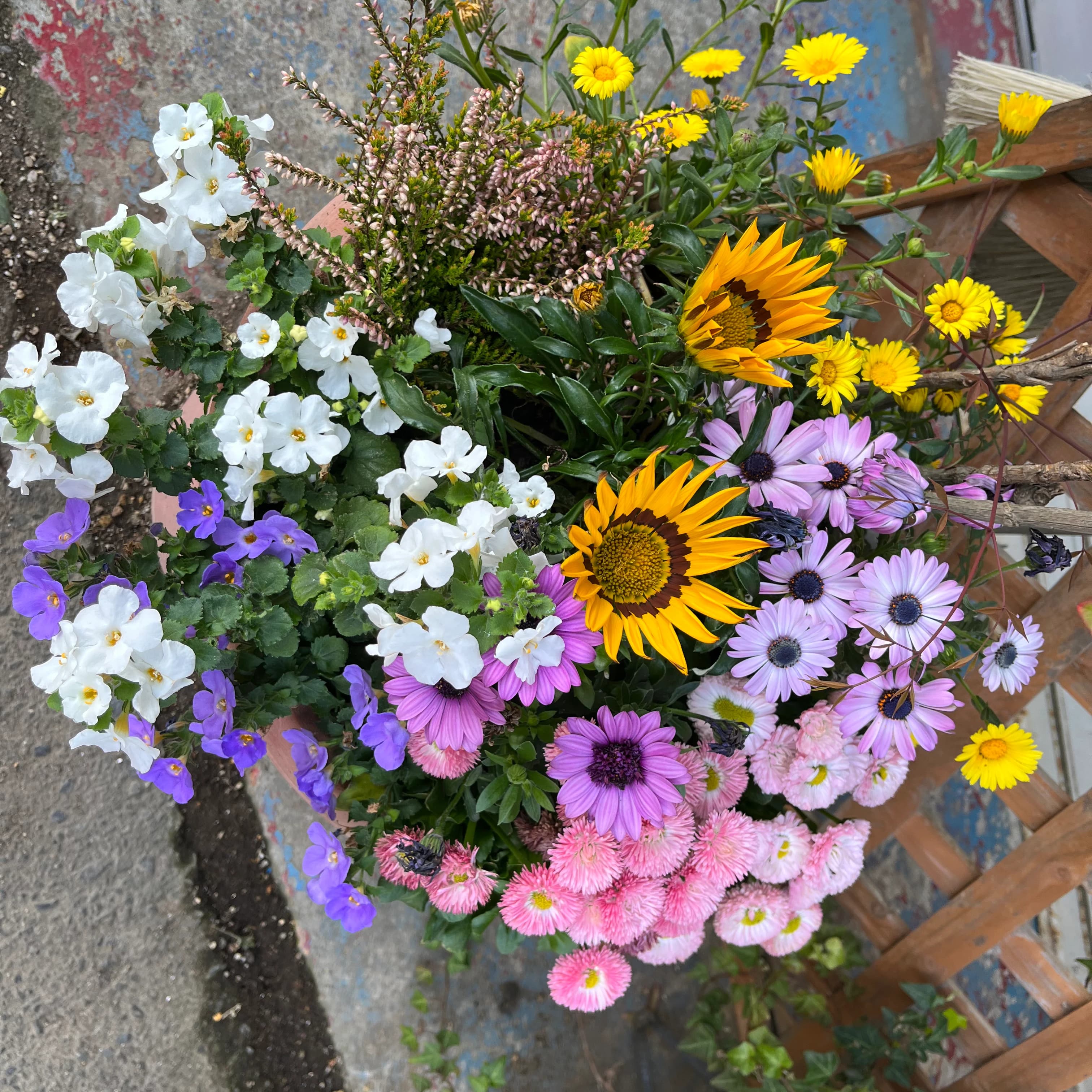 おおさこ珠算塾 新町教室 画像 9