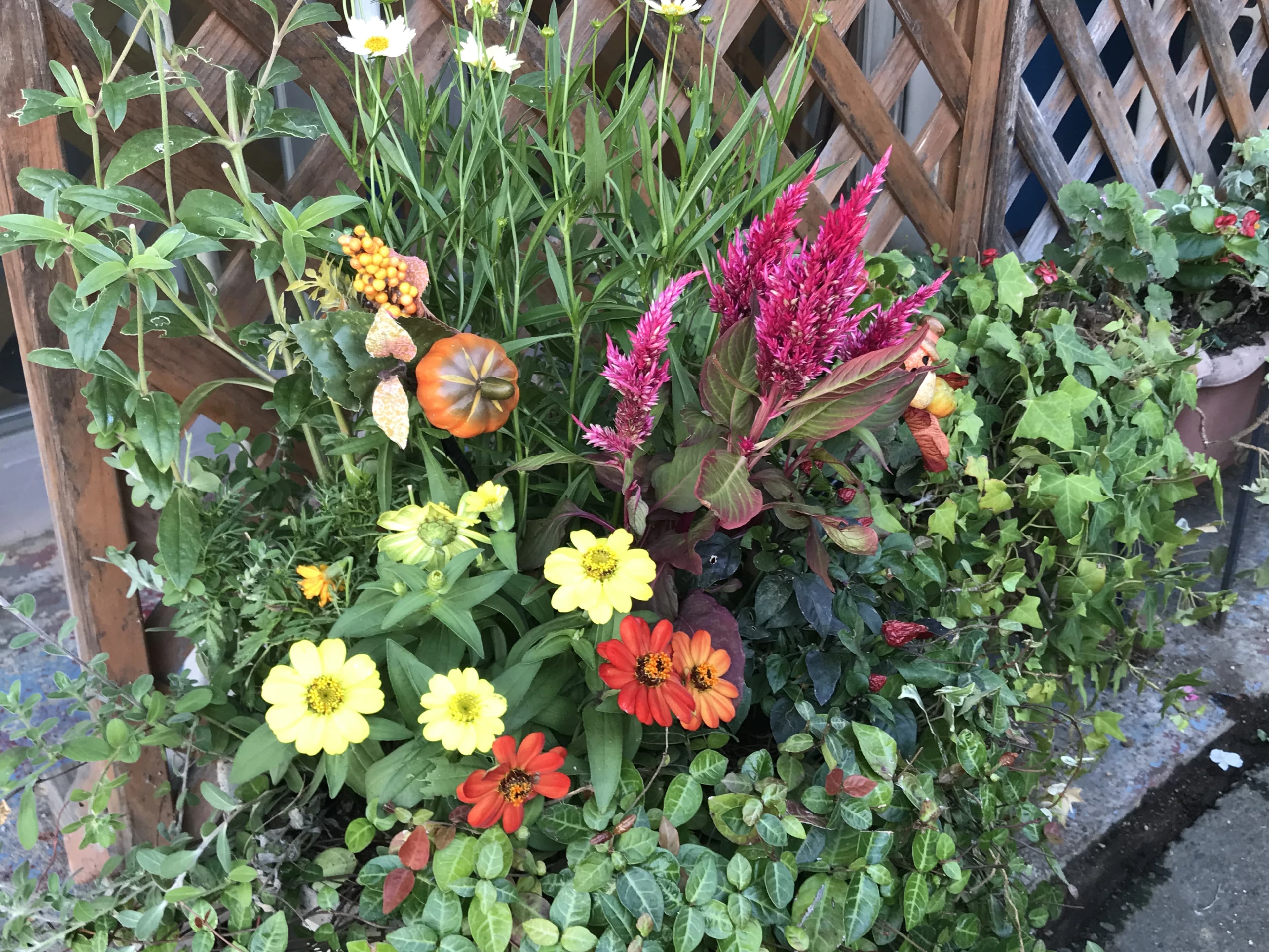 おおさこ珠算塾 新町教室 画像 14