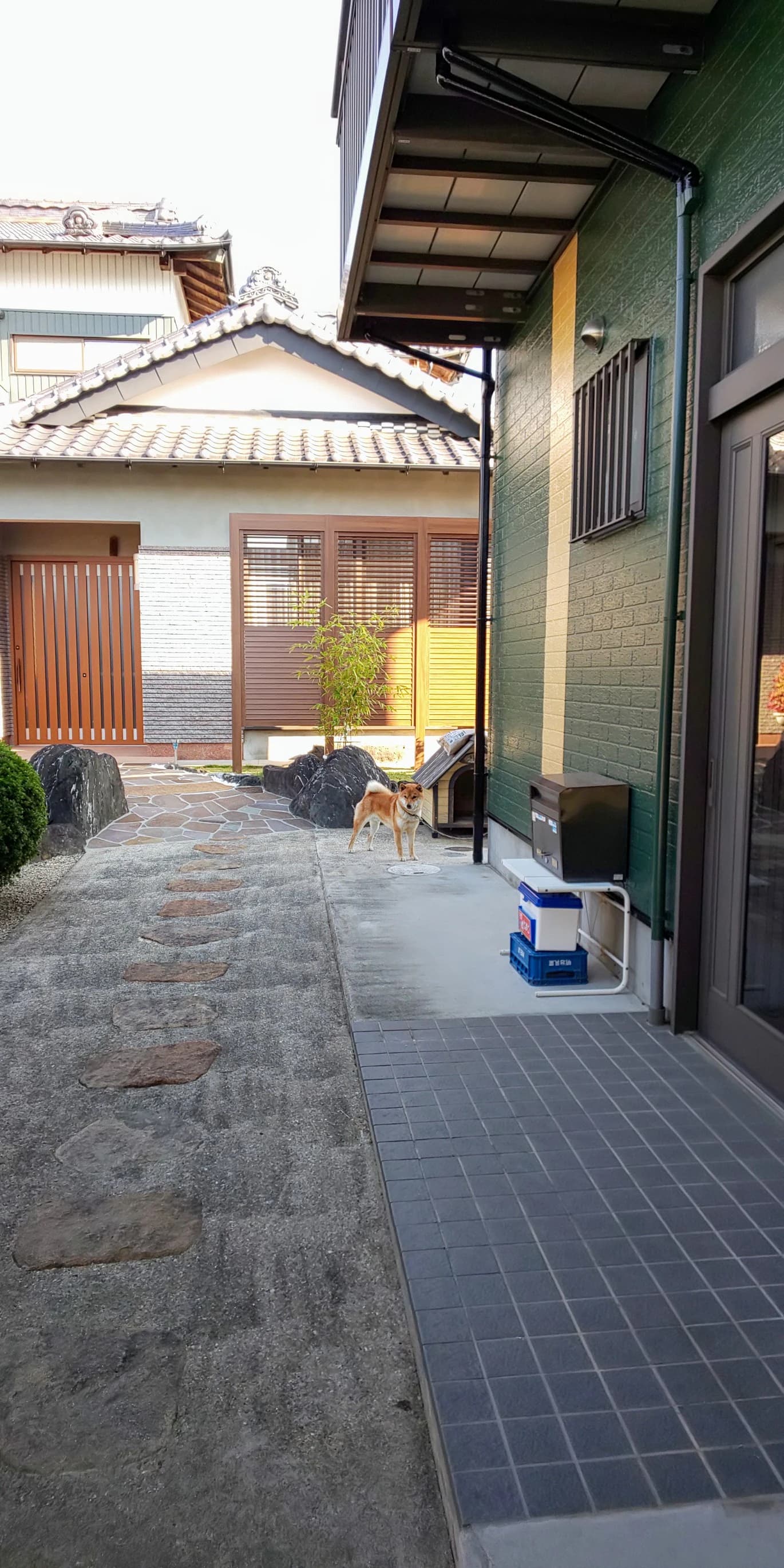 そろばんずく 伊保原教室のサムネイル画像 2