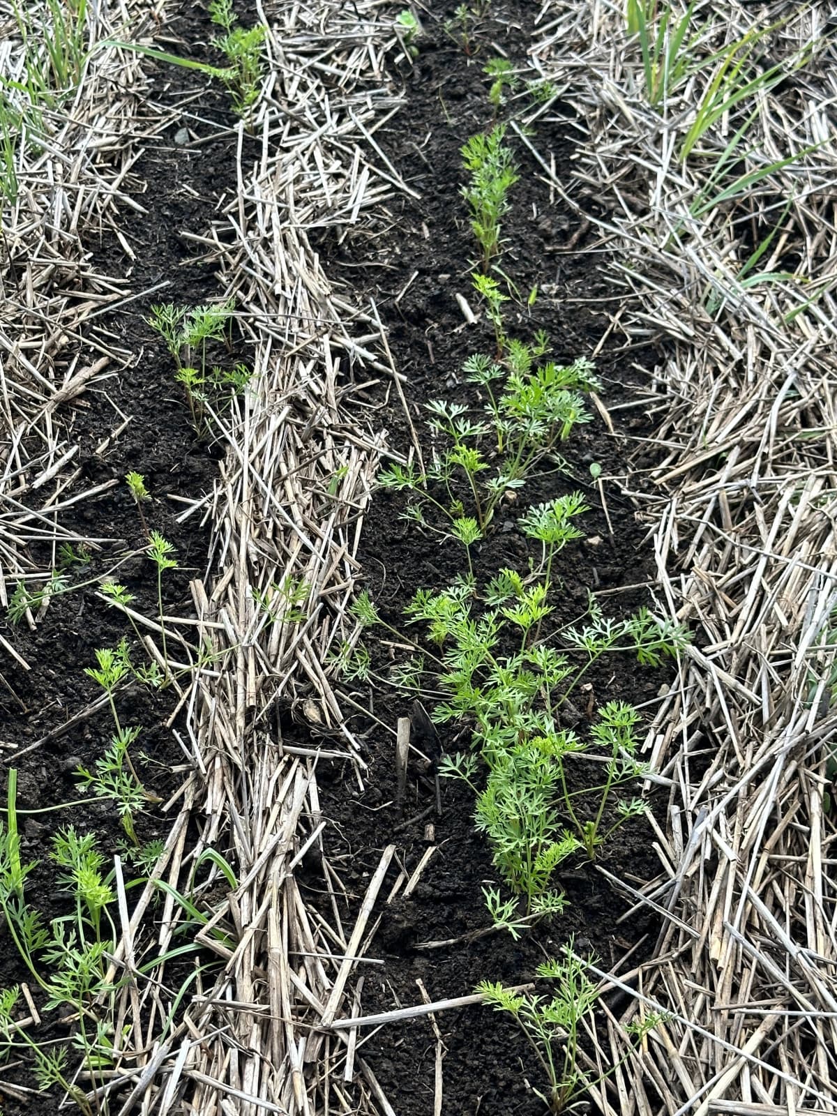 土EN FARM SCHOOL 画像 21