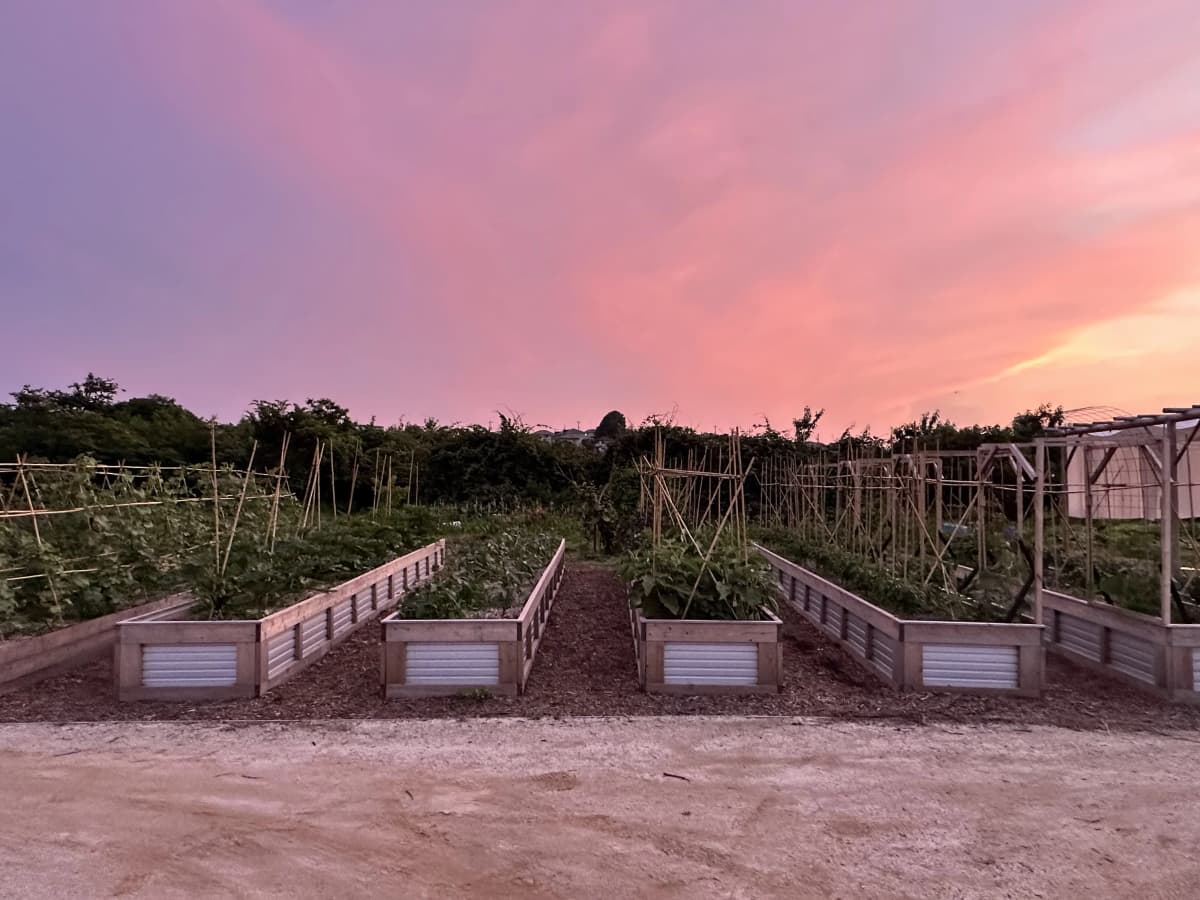 土EN FARM SCHOOL 画像 22